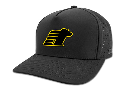 5 Panel