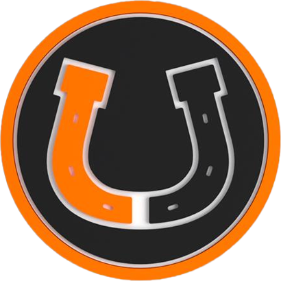 Broncs